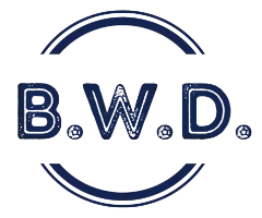 BWD Dachsanierung